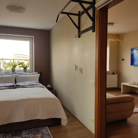 3m Bridge Self Check-in Apartment Kaunas